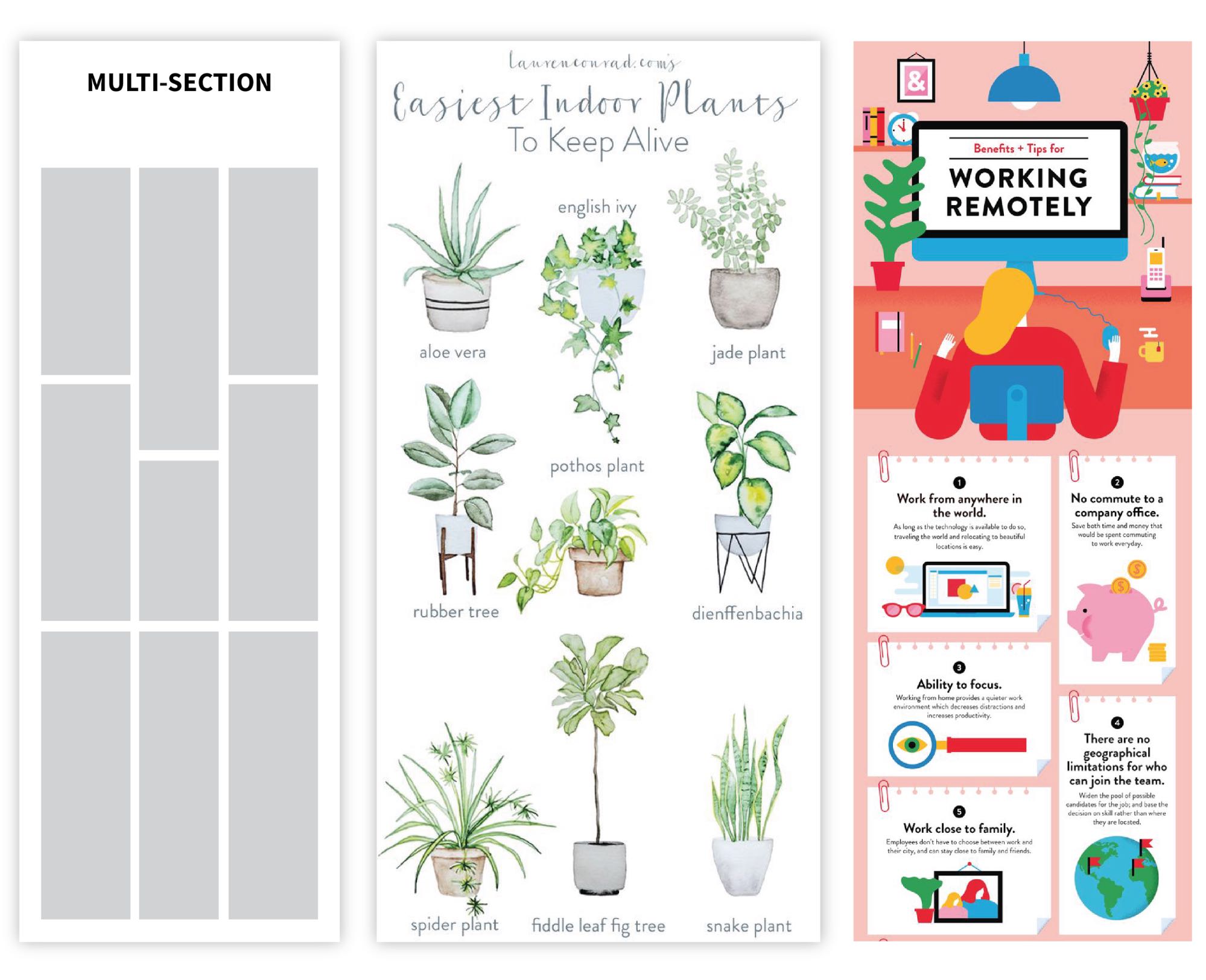 Multi-section layout