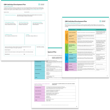 Development plan template