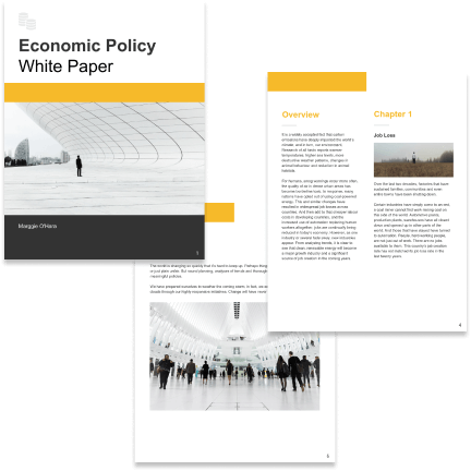 Economic policy template