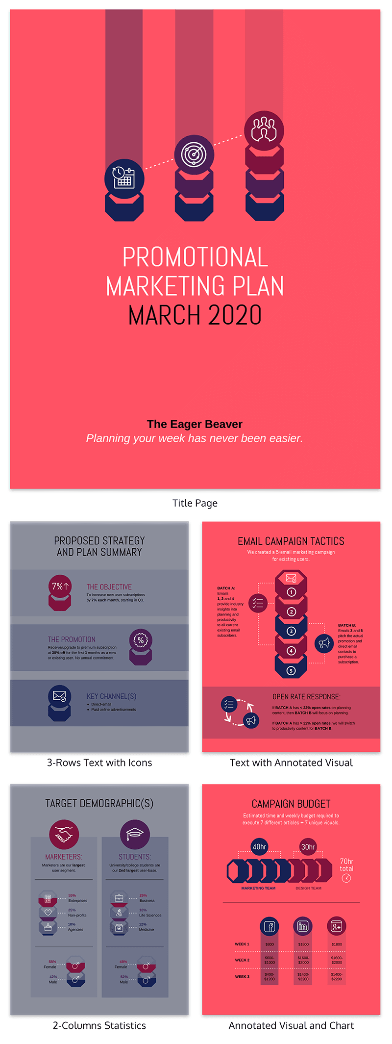 Marketing Plan Infographic 