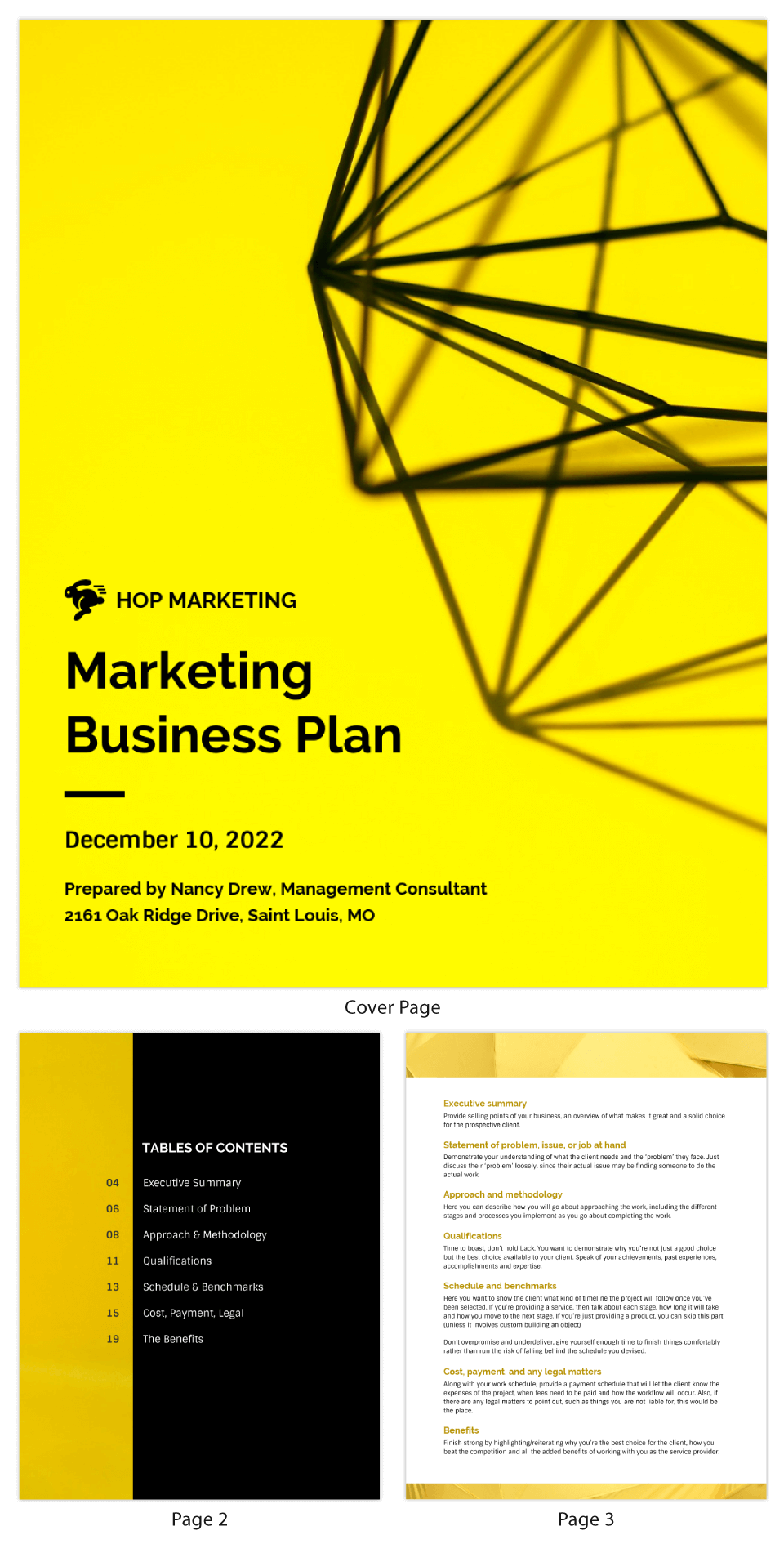 Marketing Plan Infographic